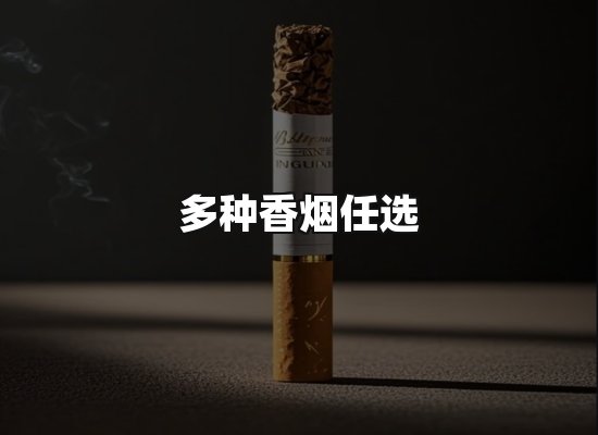 专业优势